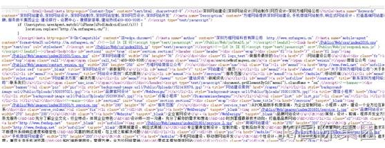 网站代码检测